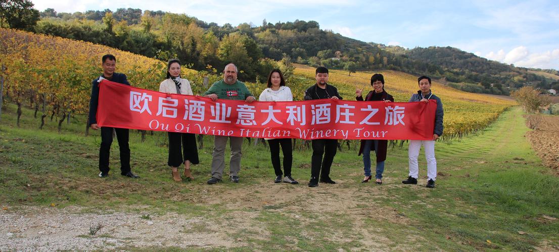 掌舵酒业进出口 在互联网时代的蓝海中破浪前行